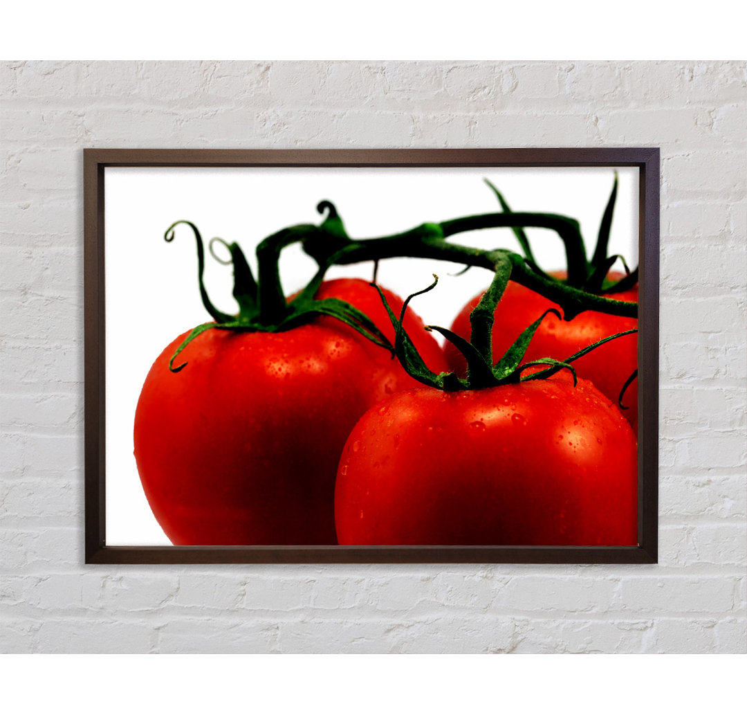 Tomato Trio - Einzelner Bilderrahmen Kunstdrucke auf Leinwand