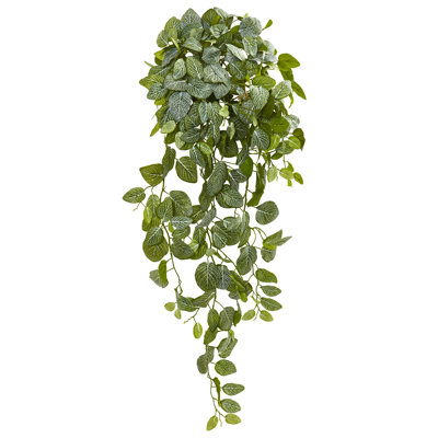  36in. Fittonia Hanging Bush Artificial Plant (Set of 2) (Real Touch)
