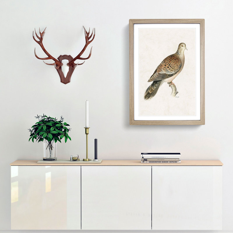 Oriental Turtle Dove by Von Wright - Picture Frame Painting Print, 36cm H x 27cm W x 2cm D, Oak Framed