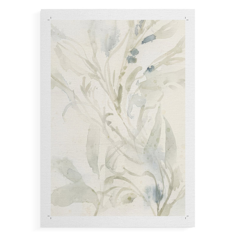 Élégant algue de mer IV - Impression sur toile seulement - NON-CADRE, H 18 po x l 12 po