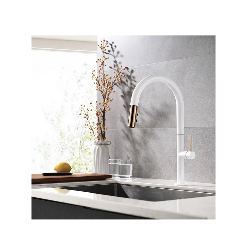 Robinet de cuisine rétractable à poignée simple avec accessoires