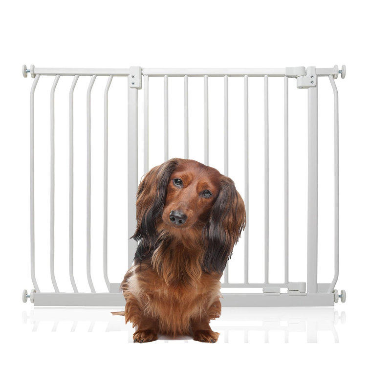Metal Pressure Mounted Pet Gate, 98cm - 107cm, White