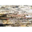 Area Rug in Brown-485629857