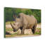 Wall Art on Canvas-992754939