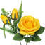 Rosier-625828218
