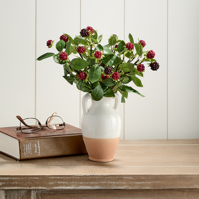 Ensemble de 11 po framboise sauvage 