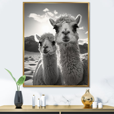 Lipke " Camel Harmony In Monochrome "