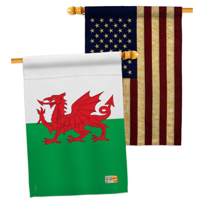 Double Sided 40'' H x 28'' W Polyester House Flag