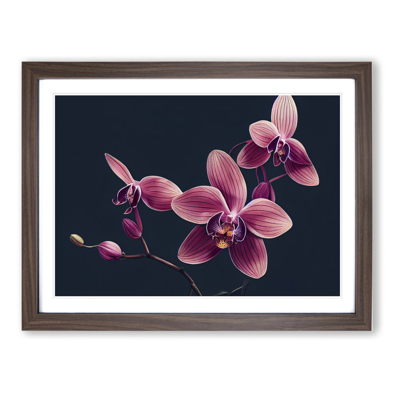 Revolutionary Orchid Flowers 1 Piece Single Picture Frame Wall Art, 46cm H x 64cm W x 2cm D, Walnut Framed