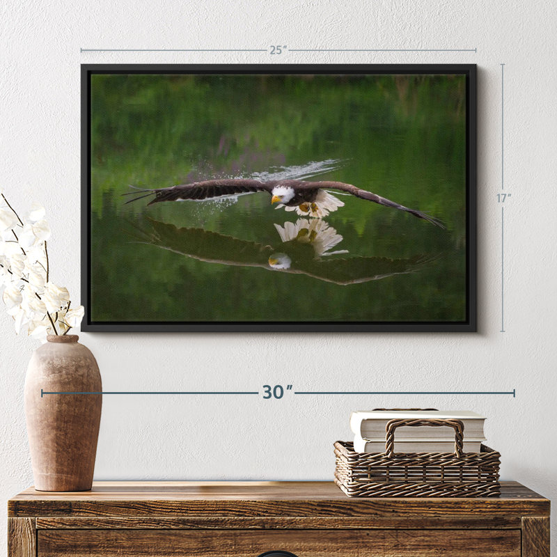 «Bald Eagle Reflection Wall Art», H 17 po x l 25 po