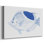 Poisson tropical bleu et blanc I - Cavas enveloppés de galerie
