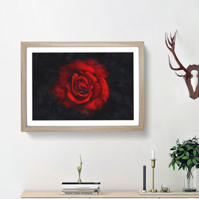 Red Rose in the Shadows - Framed Print