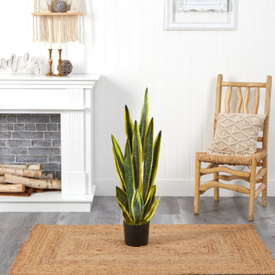 Faux Snake Plant (Sansevieria) Plant in Planter