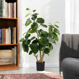 36 Inches Artificial Fiddle Money Bag Tree In Plastic Nursery Pot