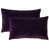 Deep Purple is out of stock