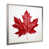 Silver Single Picture Framed