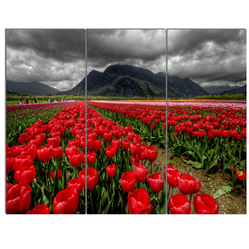 « rangs of brillante », reproduction de photo à multiples images sur toile tendue