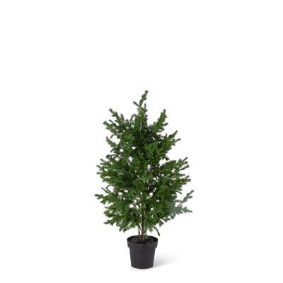 Potted Soft Touch Cedar Tree, 46"H