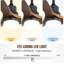 60 Inch Ceiling Fan With Lights 3 Solid Wood Fan Blade Noiseless Reversible Motor Remote Control