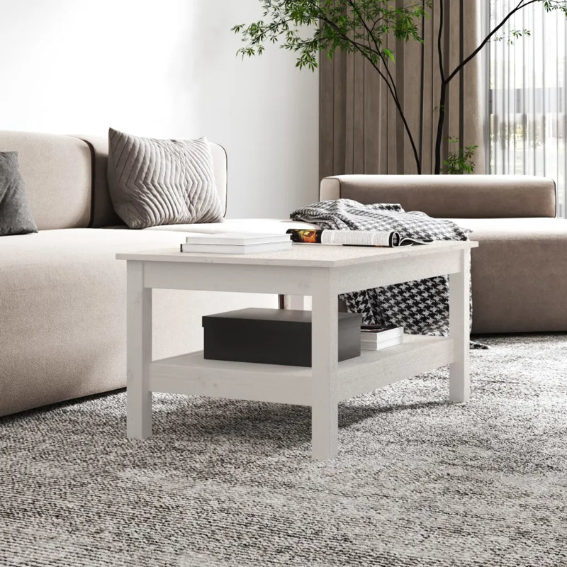 Kanthiah Solid Wood Four Leg Coffee Table with Storage, 40cm H x 80cm W x 50cm D, White