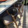 Brasia 29.72" Patio Bar Stool with Cushion