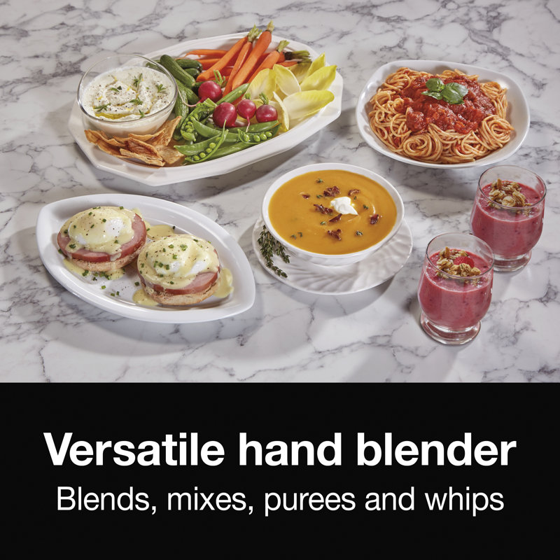 Proctor Silex 2 Speed Hand Immersion Blender