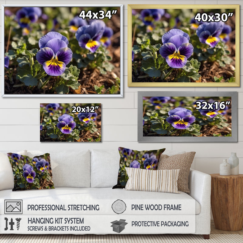 «Purple Yellow Pansies Harmony I» sur toile, Cadre simple argenté, H 34 po x l 44 po x P 1,5 po