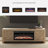 Entertainment Accessories Fireplace Insert