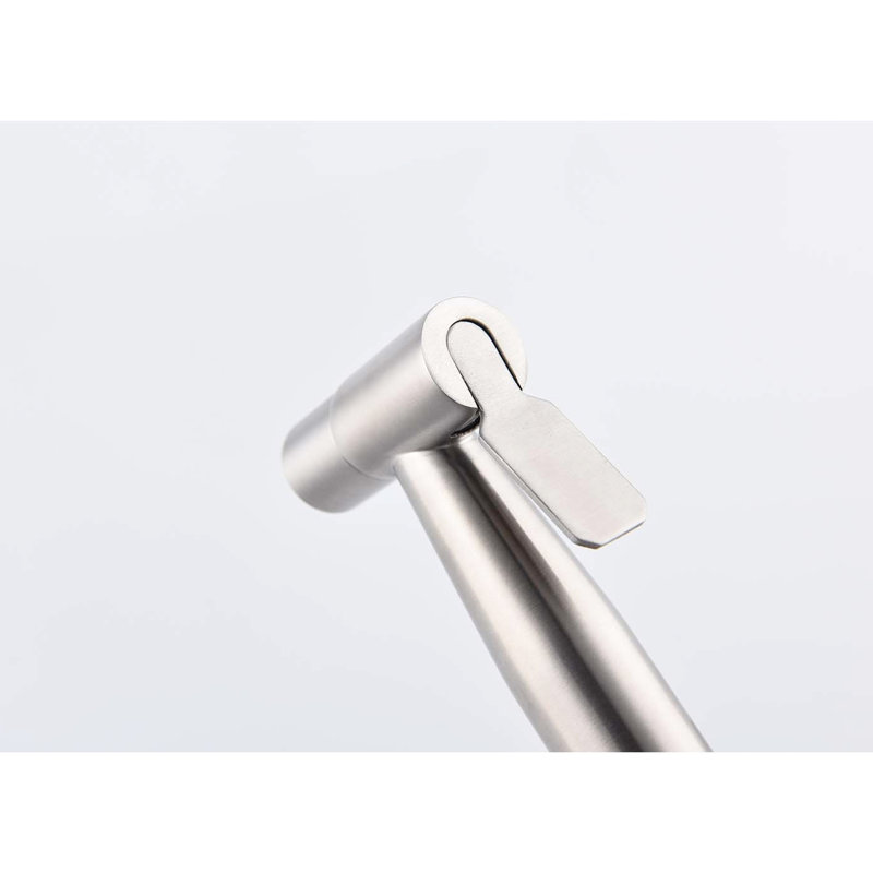 Handheld Bidet For Toilet - Silver Metal Build, Two Water Options, Hygiene Aid Material, Spray Modes, Focused, Easy Fit