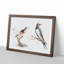 Songbird & Bee-Eater Bird by Johan Teyler - Framed Print-55726163-55726156