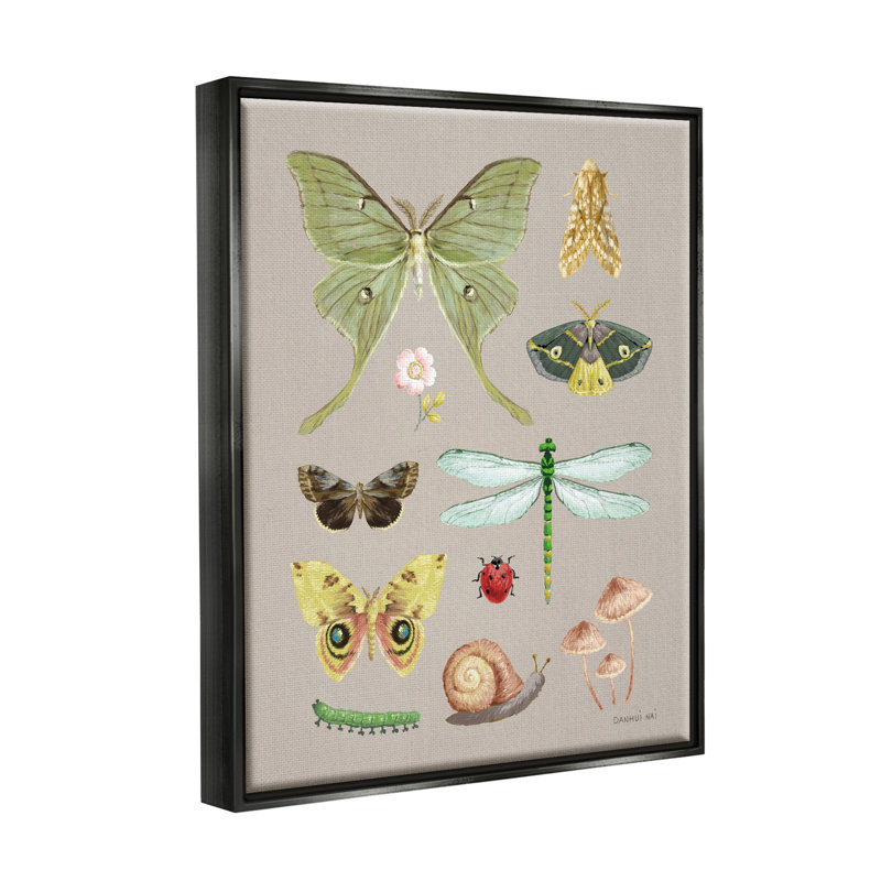 Diverses études sur les insectes par Danhui Nai - reproduction, H 20 po x l 16 po x P 1,5 po, Giclée encadrée noir minuit
