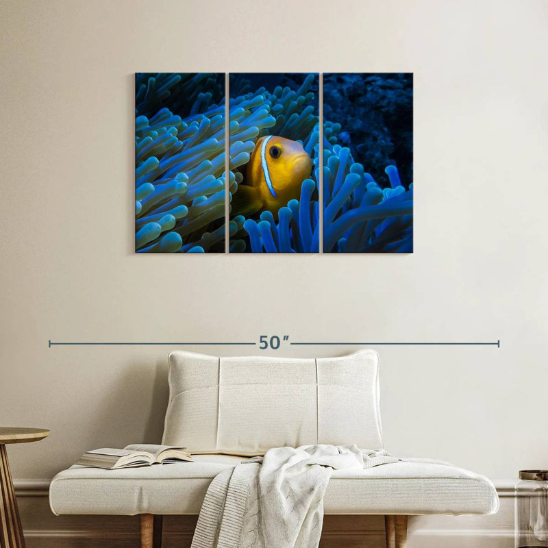 Brampt Lurking Clownfish, 24" H x 38" W