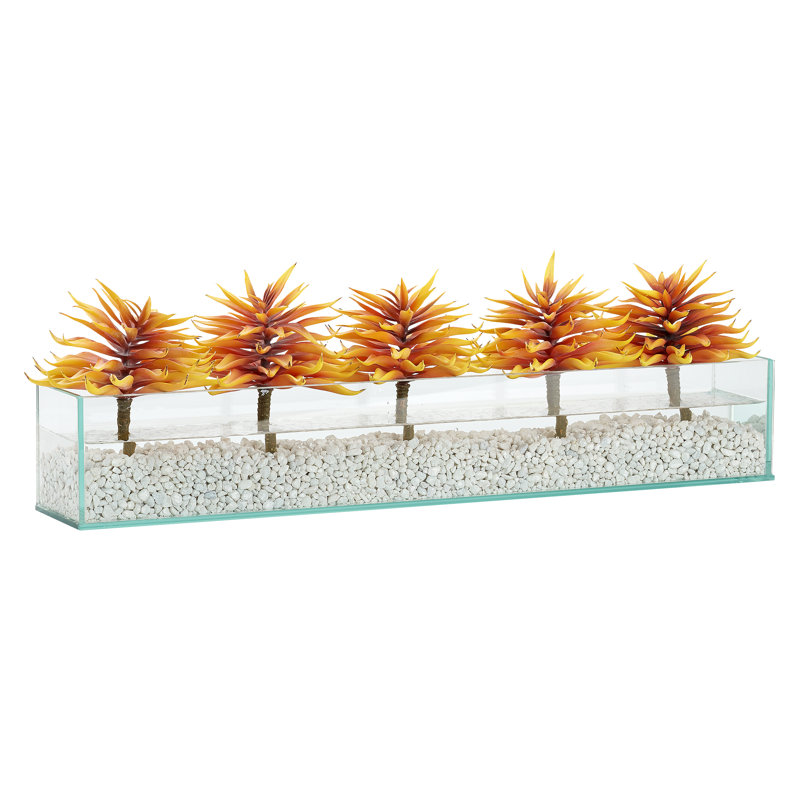 Plantes succulentes en verre d'aquarium rectangulaire, Orange
