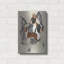 «Boston Terrier 2» par Barbara Keith-1527744293