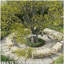 Banc d'extérieur semi-circulaire rond, banc de jardin en bois