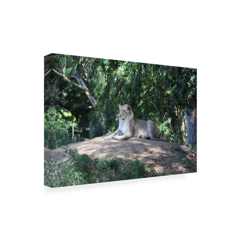 «Lion Bobrolog», peinture sur toile, H 12 po x l 19 po