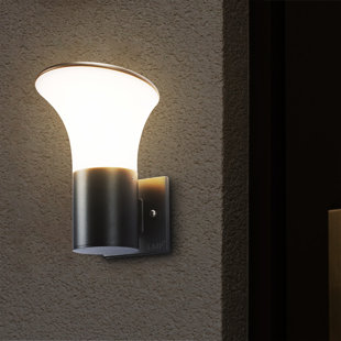 Wall Light