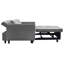 Buncombe 2 Seater Velvet Sofa Bed-1744948087