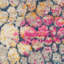 Tapis jaune / rose / gris à motif abstrait Lalutha-979034658