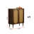 Modern Retro Accent Cabinet Accent Cabinet