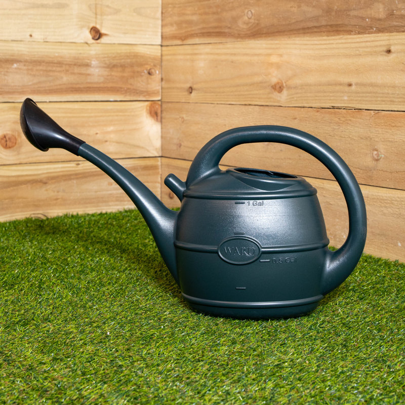 Caziyah Watering Can, 49cm H x 28cm W x 18cm D, Green