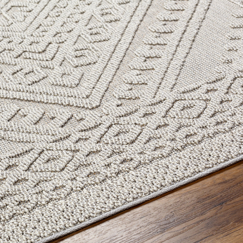 Abidemi Oriental Indoor / Outdoor Rug, Runner 2'7" x 7'3"
