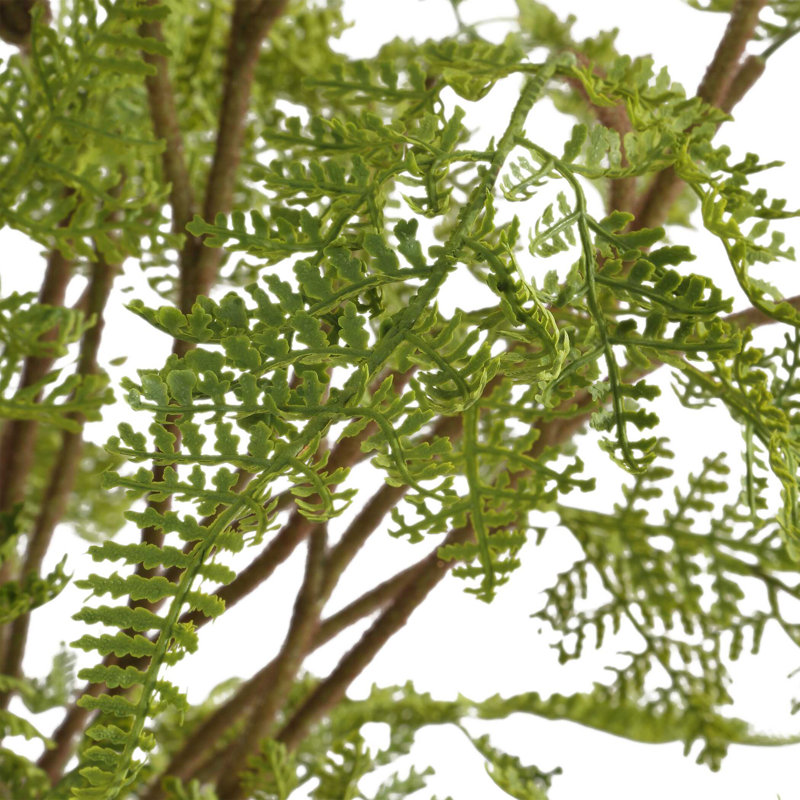 Centre de table Uttermost Woodland Fern