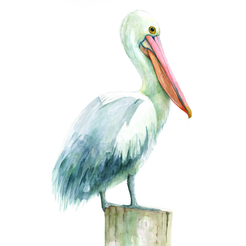 Pelican Profile 2 - impression sur toile tendue, H 48 po x l 36 po