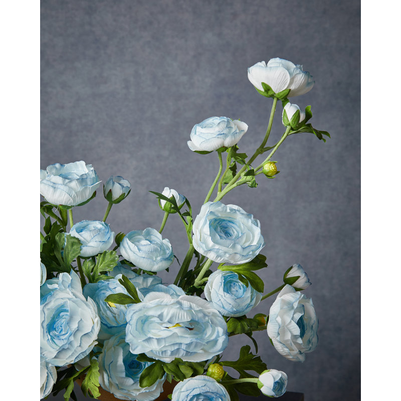 Roses Bushes, Blue