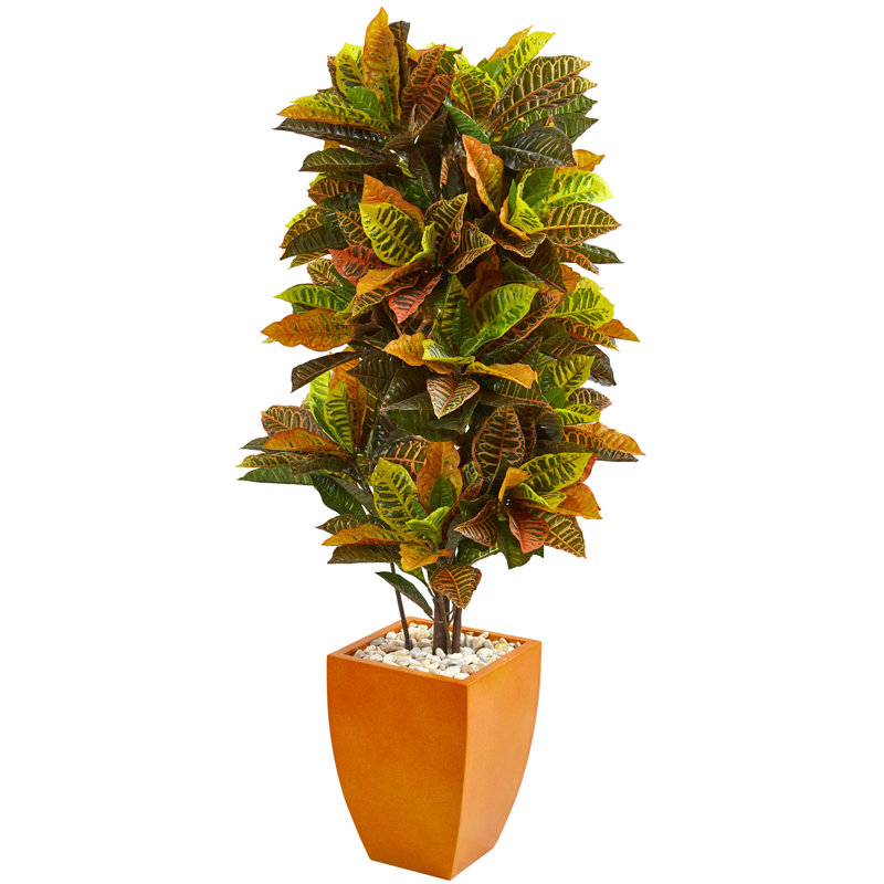66'' Faux Croton Plant in Ceramic Planter