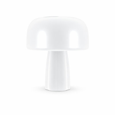 The Boleti Lamp