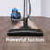 NEN110F Canister Vacuum, Lightweight, Multi-Surface Cleaning, Powerful Suction Compact Design