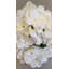 BOUQUET D'HORTENDAÏS X3 PIÈCES-1882573829-1882573830