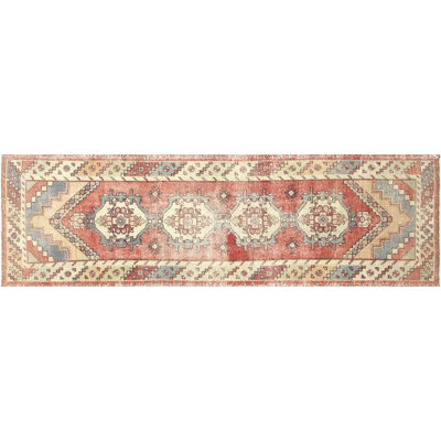 Runner One-of-a-Kind 3' X 10' Area Rug